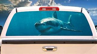 Image result for Back Window Fishing Decals