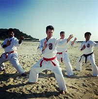 Image result for Isshinryu Karate