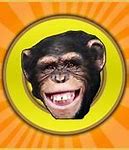 Image result for Ape Pinning