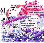 Image result for Mold Allergies Symptoms