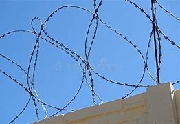 Image result for Rusty Barded Wire