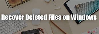 Image result for Recently Deleted Files Windows 1.0