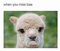 Image result for When You Miss BAE