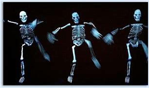 Image result for Funny Skeleton On Bench