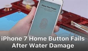 Image result for iPhone 7 Home Button Stuck