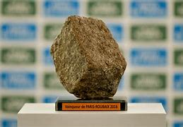 Image result for Paris-Roubaix Trophy