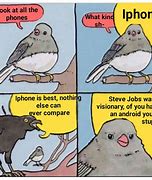 Image result for Annoyed Bird Meme Template