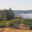 Image result for Peay Pinot Noir West Sonoma Coast