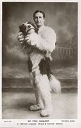Image result for Vintage Pantomime Animals