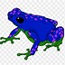 Image result for Animated Frog