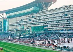 Image result for Dubai Racing World Cup The Gallery