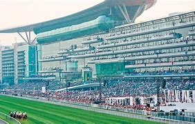 Image result for Dubai Cup Race Track Photo