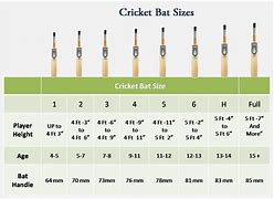 Image result for Cricket Box Protector Size Chart
