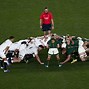 Image result for SA Rugby World Cup