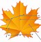 Image result for Leaf Brush Illustrator