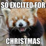 Image result for Christmas Hangover Meme