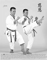 Image result for Shito Ryu Karate