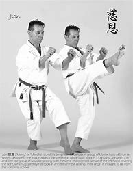 Image result for shito ryu martial arts