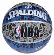 Image result for Blue Spalding Basketball