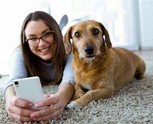 Image result for Cell Phones for Dogs
