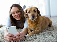 Image result for Dog Using a iPhone