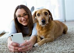 Image result for Phone Pet