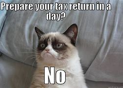 Image result for Tax Season Celebration Meme