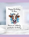 Image result for Cow Birthday Meme