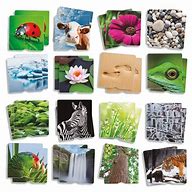 Image result for Visual Memory Picture Nature Scenes