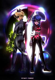 Image result for Ladybug and Cat Nioir Wallpaper