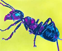 Image result for Ant Art