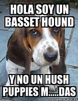 Image result for Hush Puppy Meme