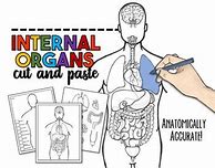Image result for Organs Cut and Paste