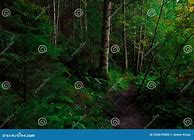 Image result for Moss Green Aesthetic