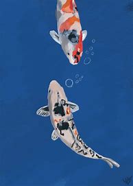 Image result for Koi Fish Art Prints