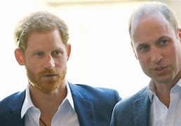 Image result for prince harry prince william