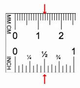 Image result for How Big Is 2 Inches