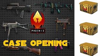 Image result for Phoenix Drop Case