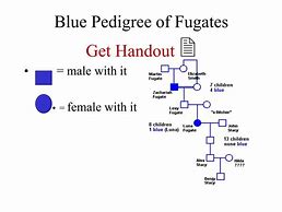 Image result for Fugate Blue People Kentucky