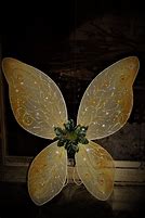 Image result for Gold Fairy Wings