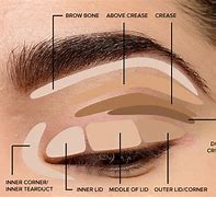 Image result for How to Apply Makeup Diagram
