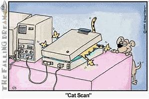 Image result for Cat Scan Funny Cartoons