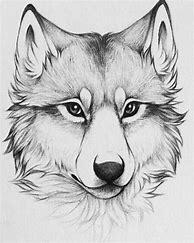 Image result for Drawing Animals with Pencil
