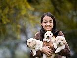 Image result for Dog Adoption Events Near Me This Weekend