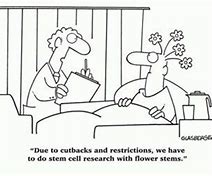 Image result for Cell Culture Memes