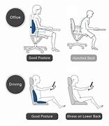 Image result for Best Posture Support Bra