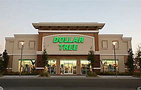 Image result for Dollar Tree Online Shopping