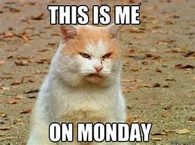Image result for Happy Monday Tired Meme