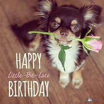 Image result for Happy Belated Birthday Cute Puppies