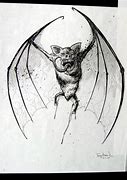Image result for Bram Stoker Dracula Bat